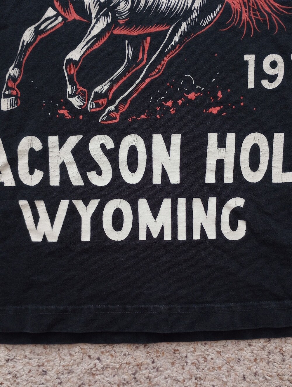 Diamond Cross Ranch Jackson Hole Wyoming Graphic T-shirt Size Medium Western - Picture 4 of 7